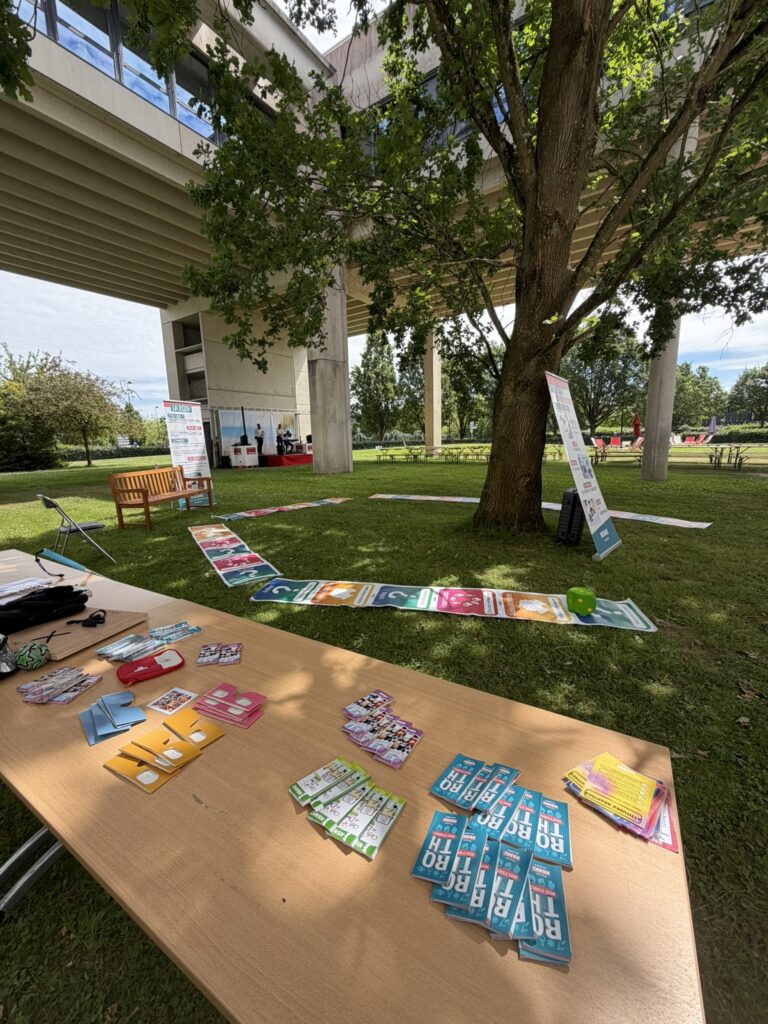 Le jeu Géant KESKI Handicap installé dans l'herbe
